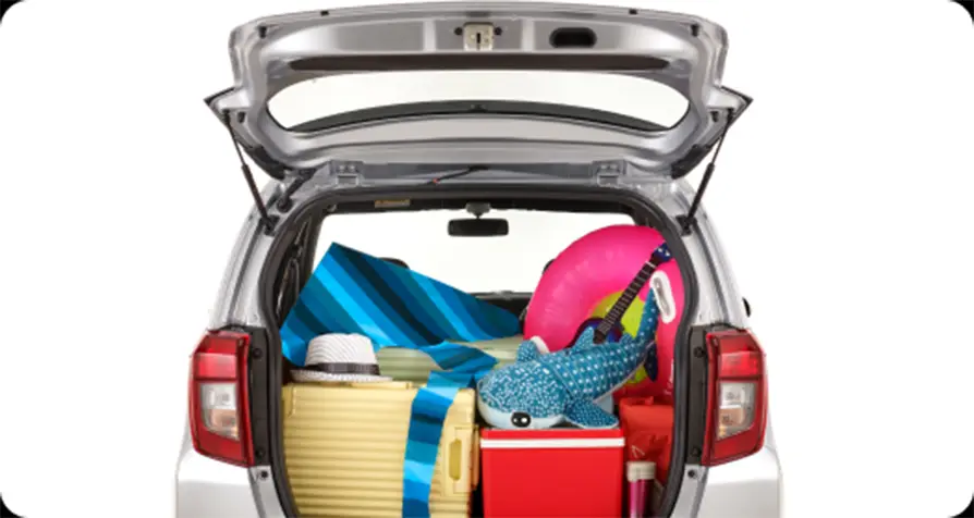 Spacious Luggage Space