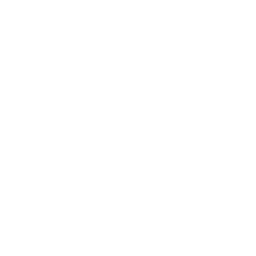 icon steering